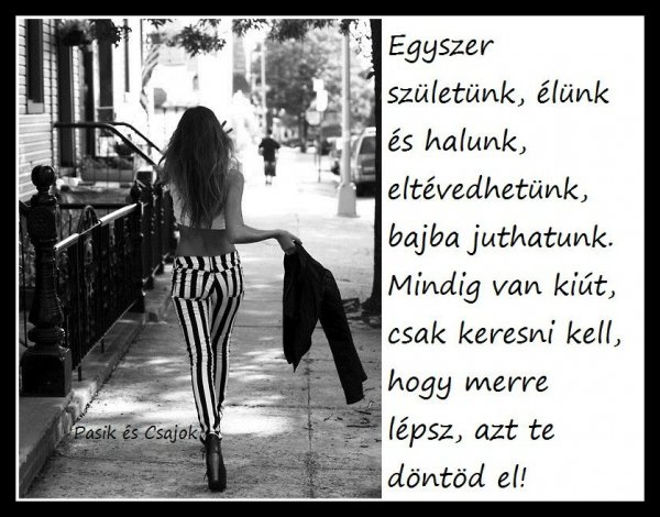 tumblr_m9097iL6BS1rppcy9o1_500_large