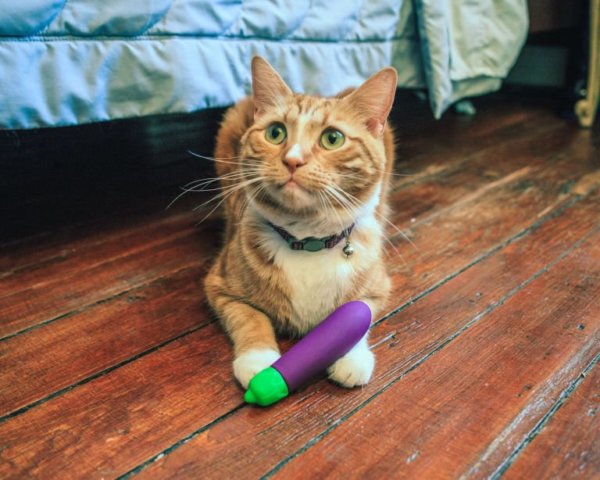 vibrator-cosmopolitan-2